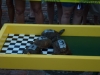 Turtle races @ Turtle Crawls